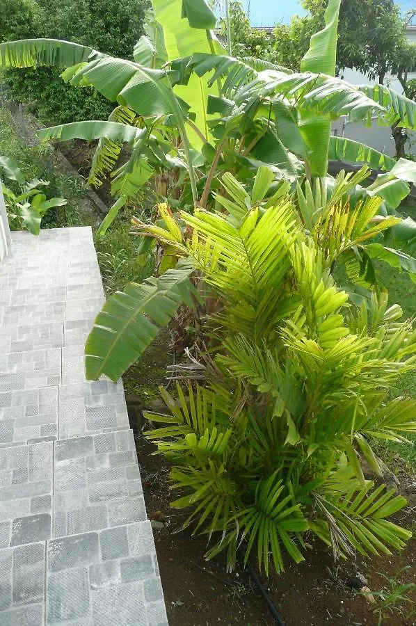 Holiday home Douceurs Caraibes, Gite Cannelle Bouillante